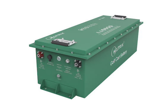 골프 카트를 위한 금속 경우 48V 리듐 재충전형 배터리 LiFePO4 배터리